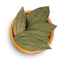 Cinnamon leaves